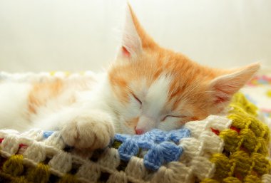 Kitten swung his foot and sleeps clipart