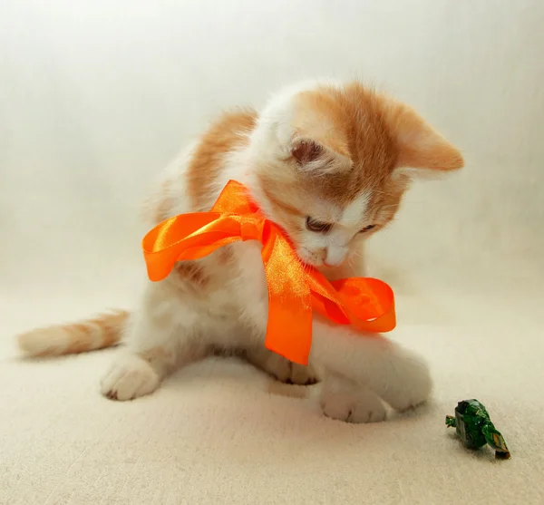 Kitten playing with a bow with candy — Stock Photo, Image