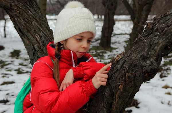 木にもたれて、ブランチを探して女の子の略 — ストック写真