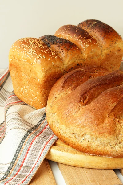 Vers gebakken brood — Stockfoto