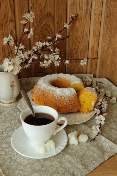 Kaffekopp, tårta och blommande gren av aprikos — Stockfoto