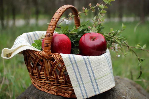 Cesta con manzanas sobre fondo natural —  Fotos de Stock