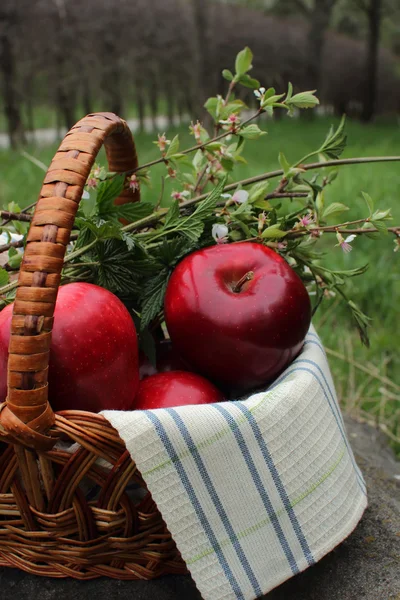 Doğa zemin üzerine elma sepeti — Stok fotoğraf