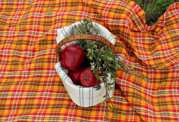 Cesta con manzanas rojas —  Fotos de Stock