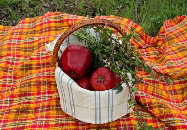 Korg med röda äpplen — Stockfoto
