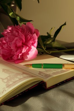 haftalık kalem ve Şakayık açın