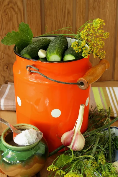 Beitsen komkommers en specerijen in blikjes — Stockfoto