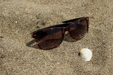 güneş gözlüğü ve kabukları kum