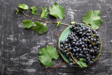 Black grapes in plate with vine plant on dark table top view. Sweet juicy grapes food on black concrete background flat lay with copy space.