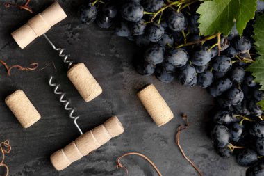 Many different wooden corkscrews with open wine corks on dark concrete background in frame made of black grapes. Degustation winetasting of wines drink. Wine bar restaurant