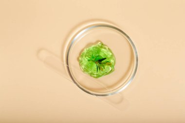 Aloe kozmetik için doğal kozmetik ürünleri. Laboratuvar vitrininde yeşil jel tıbbi bitkiler var. Bej arka planda petri kabında kozmetik cilt ürünleri. Üst görünüm