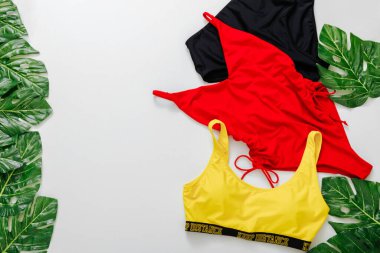 Beyaz arka planda yeşil palmiye yaprağı üzerinde birçok farklı renkte mayo var. Summer Beach kıyafet seyahat konsepti. Plaj kadınlarının mayolarını kimse giymez. Düz metin kopyalama alanı