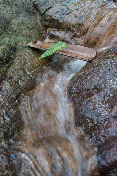 Fern Leaf on bamboo at waterfall as holiday concept — Stock Photo, Image