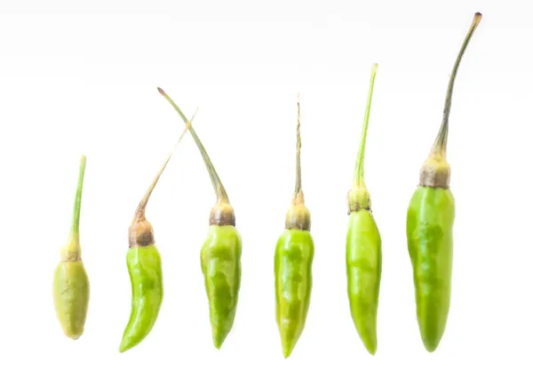 Małe zielonym chilis na białym tle — Zdjęcie stockowe