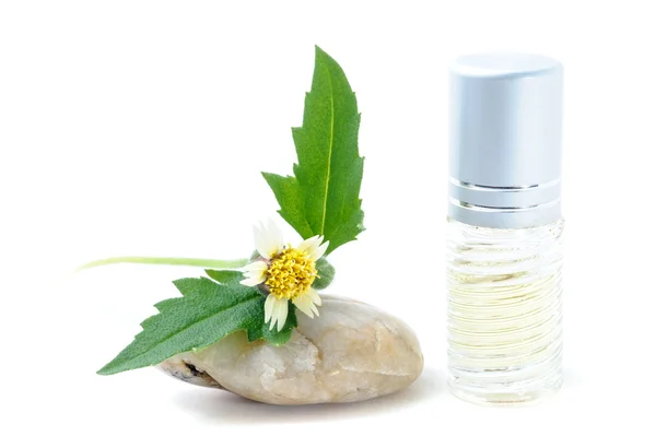 Generieke parfum en zon bloem op steen, witte achtergrond — Stockfoto