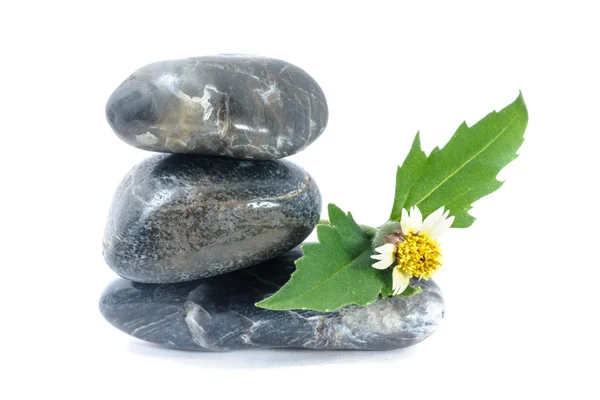 Sunflower on stone, spa concept — Stock Photo, Image