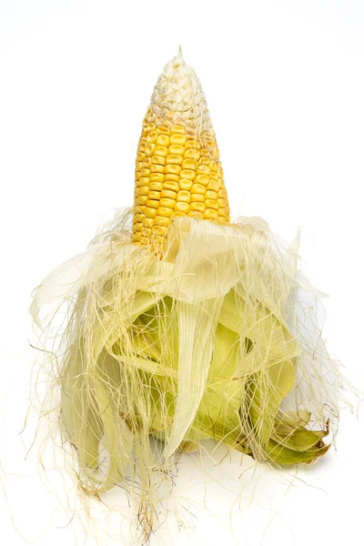 Fresh Corn Husk Isolated White Background — Stock Photo, Image