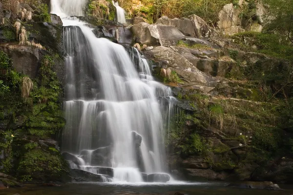 Waterfall — Stock Photo, Image