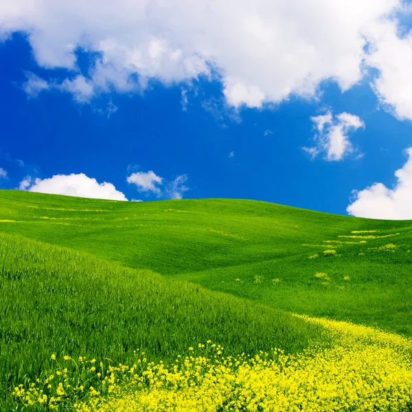 Blühende Landschaft — Stockfoto