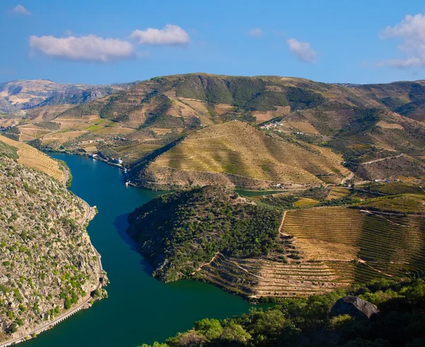 Douro