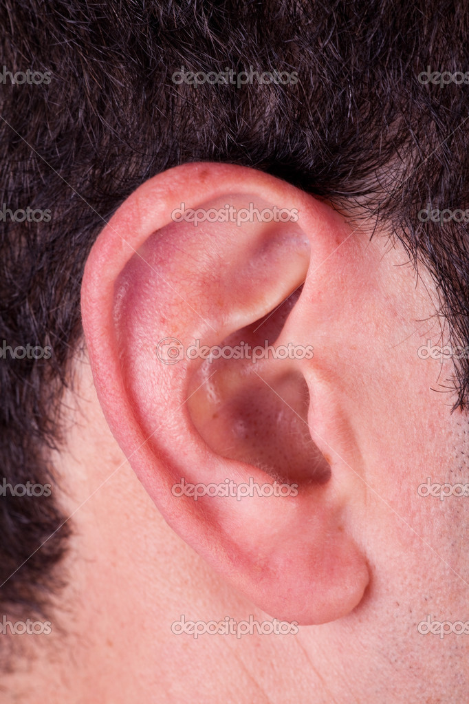 Fotos De Oreille Externe De Stock Oreille Externe Imagenes Libres De Derechos Depositphotos