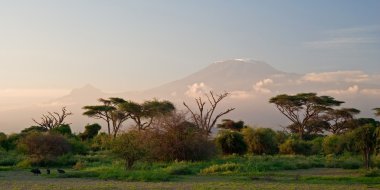 Kilimanjaro gündoğumu