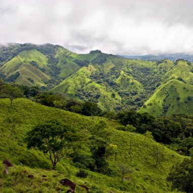Monteverde üzerinde göster