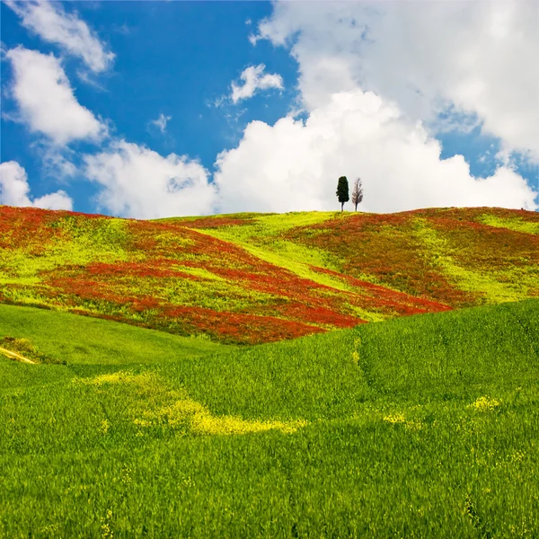 Toscaans landschap — Stockfoto