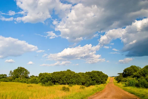 Toprak yol — Stok fotoğraf