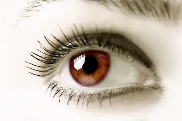Bruine ogen — Stockfoto