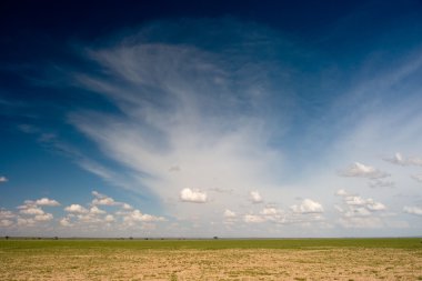 Afrika düz