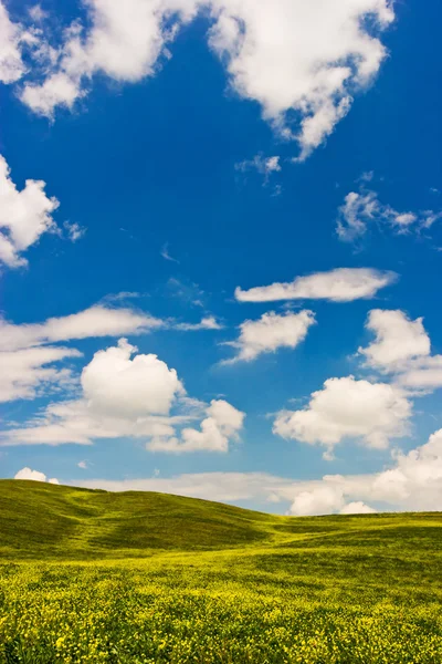 Blühende Landschaft — Stockfoto