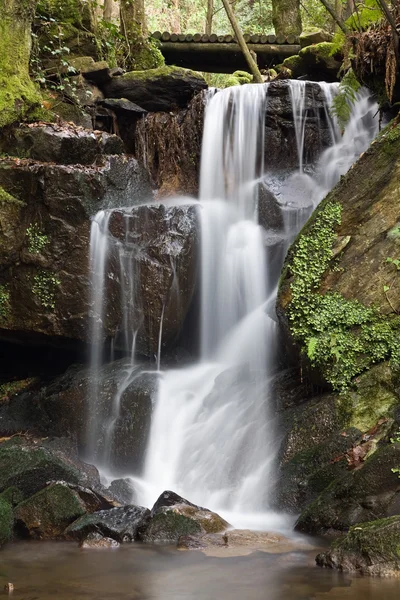 Waterfall — Stock Photo, Image