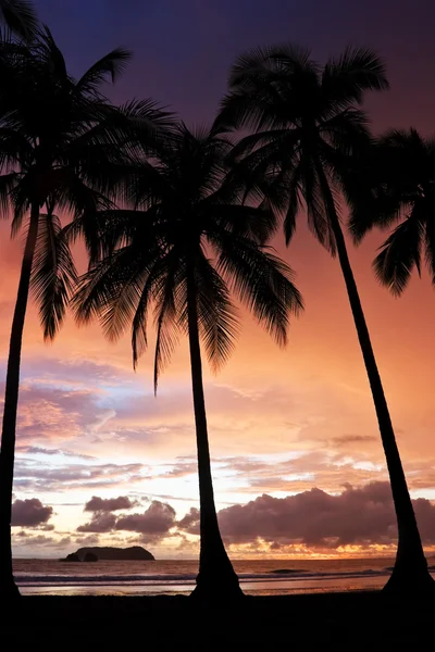 Тропический закат — стоковое фото