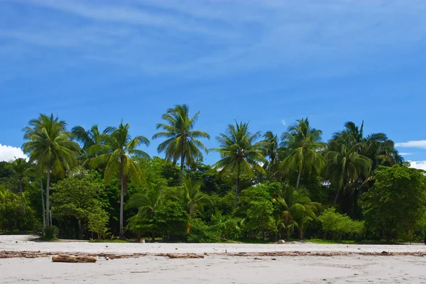 Vista tropicale — Foto Stock