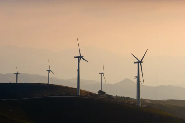 Parc d'éoliennes — Photo