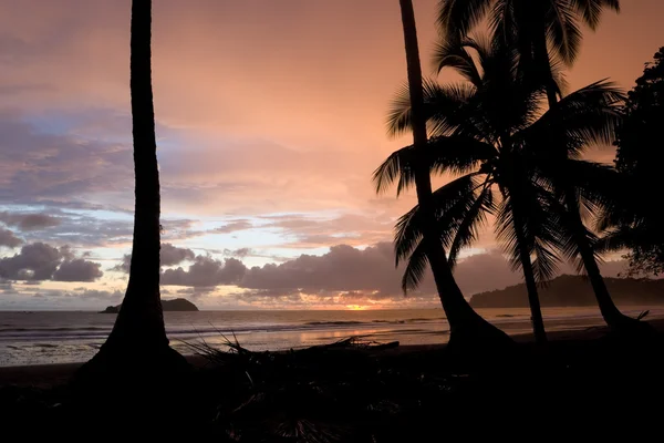 Tropischer Sonnenuntergang — Stockfoto