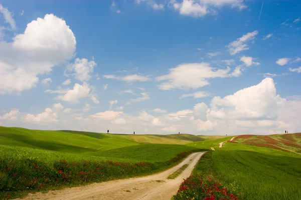 Tuscan Landscape — Stock Photo, Image