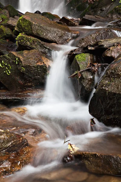 Stream — Stock Photo, Image