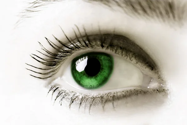 Ojo verde — Foto de Stock