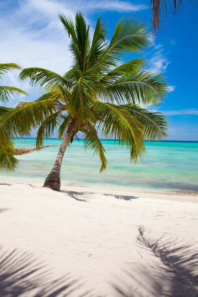 Playa tropical — Foto de Stock