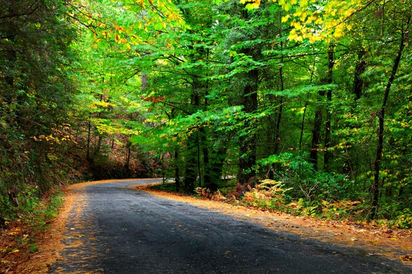 Estrada de outono — Fotografia de Stock