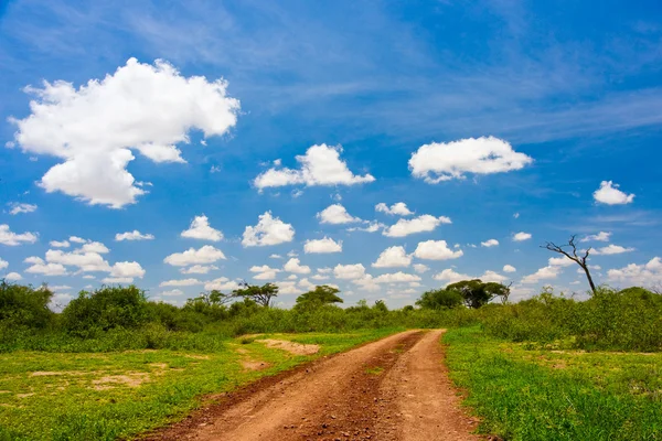 Toprak yol — Stok fotoğraf