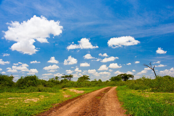 Red dirt road on Massai Mara, Kenya, Africa.