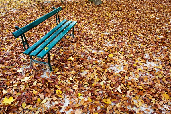 Bench in a park on fall season — Stock Photo, Image