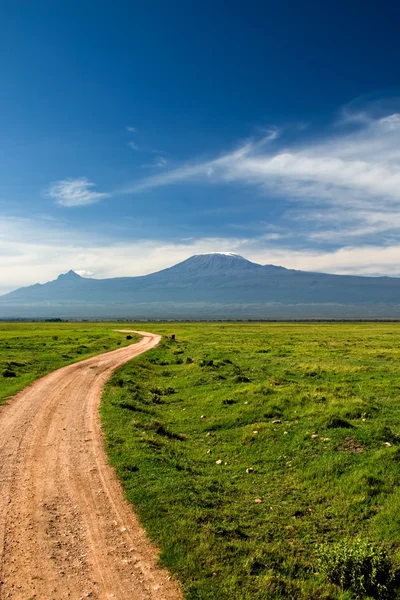 Road to Kilimanjaro — Stock Photo, Image