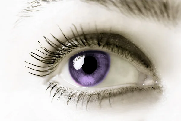 Purple Eye — Stock Photo, Image