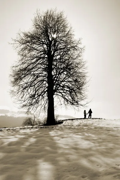 Birbirine aşık çift