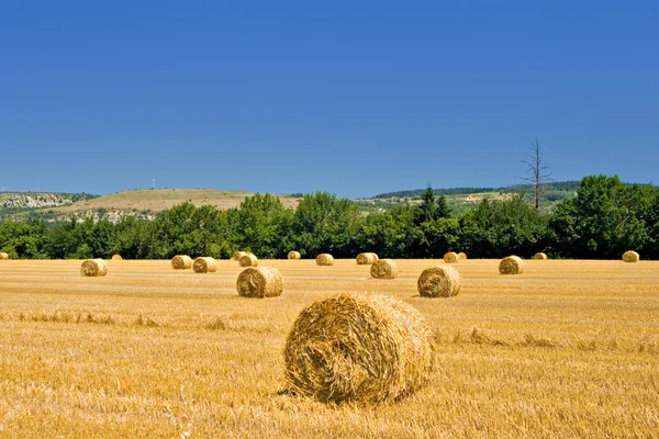 Hay Roles — Stock Photo, Image