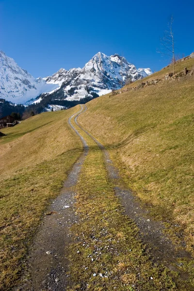Mountain Path — Stock Photo, Image